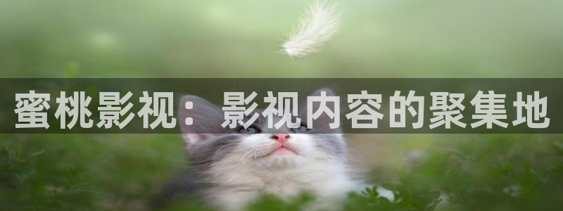 飘花影院电影在线观看