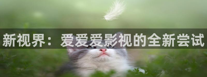 飘花电影飘雪电影