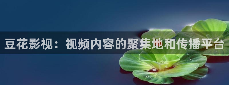 飘花电影网在线播放